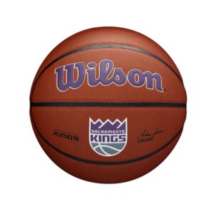 Wilson Team Alliance Sacramento Kings Ball_1